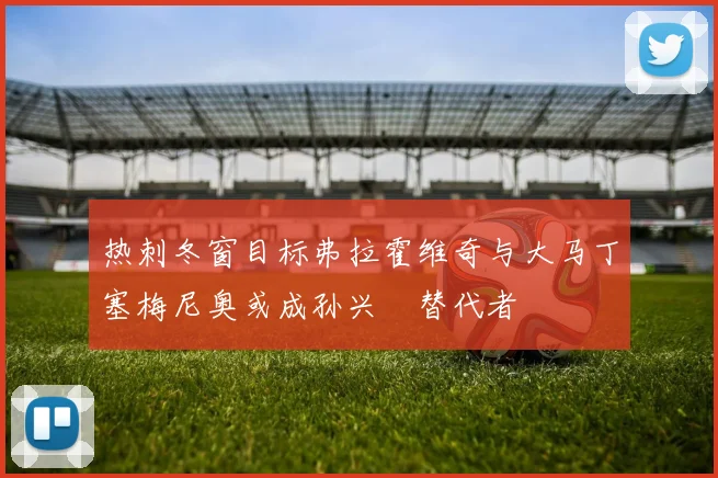 热刺冬窗目标弗拉霍维奇与大马丁塞梅尼奥或成孙兴慜替代者