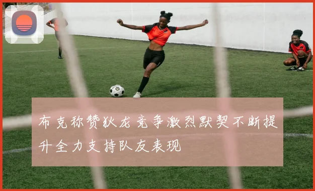 布克称赞狄龙竞争激烈默契不断提升全力支持队友表现