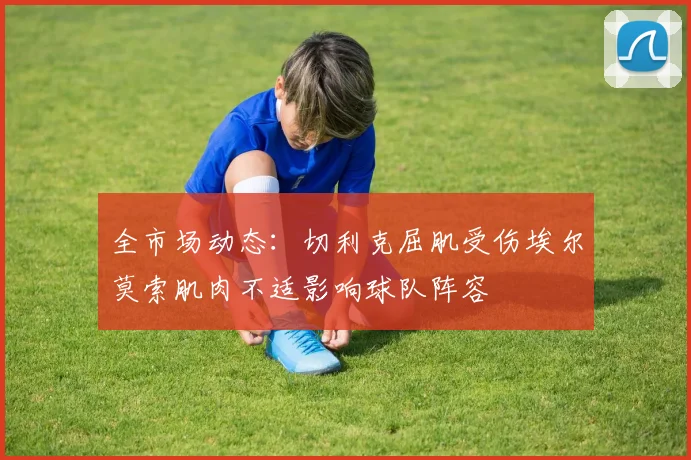 全市场动态：切利克屈肌受伤埃尔莫索肌肉不适影响球队阵容