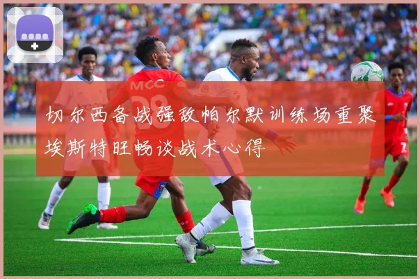 切尔西备战强敌帕尔默训练场重聚埃斯特旺畅谈战术心得